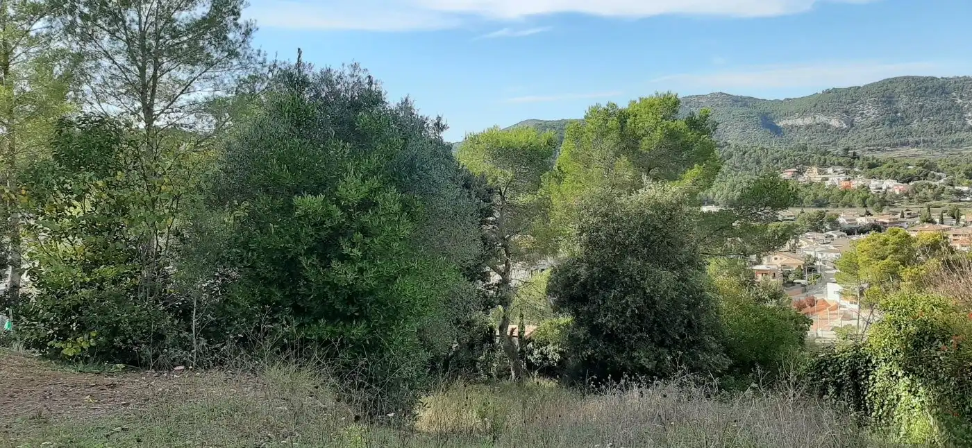 Terrenys i solars en venda a Canyelles, imagen 5