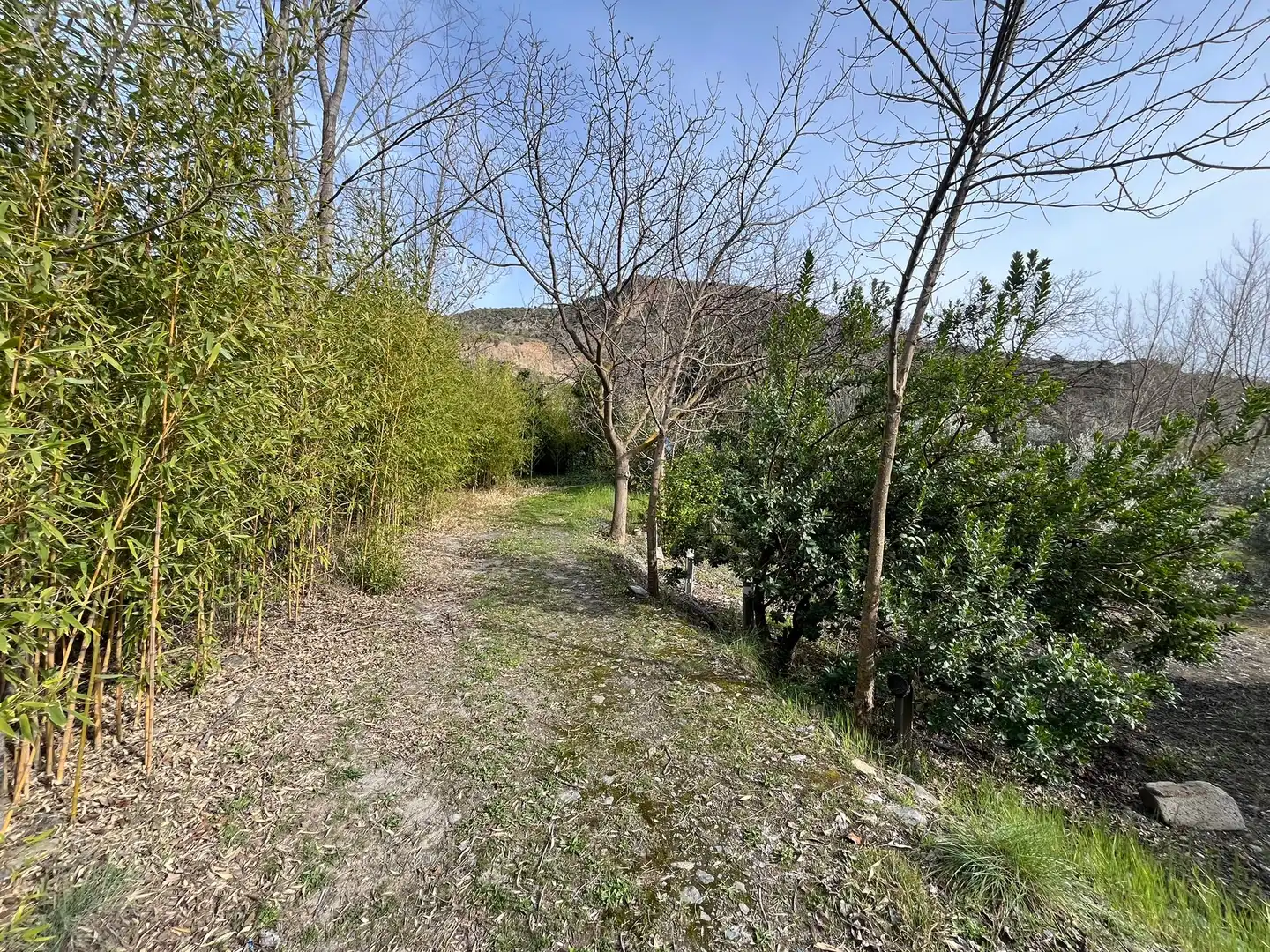 Terreny en venda en Lecrín