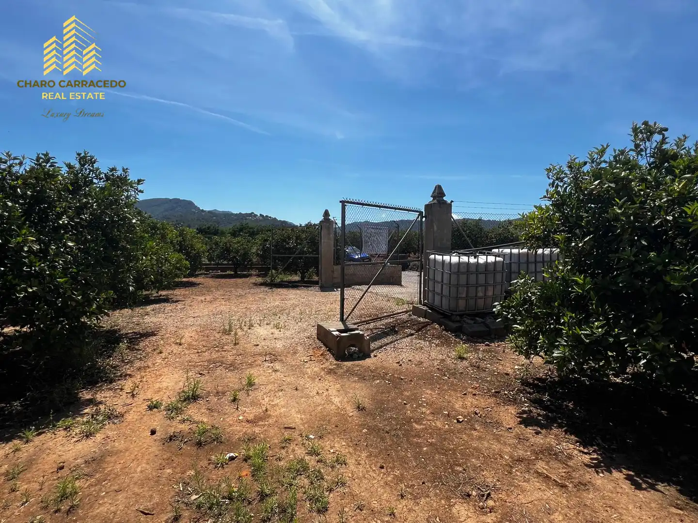 Terreno rústico en venta en Camí de la Murta-Ombria, imagen 20