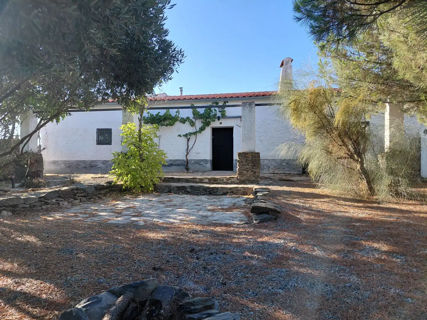 Exterior view of Residential for sale in Segura de León