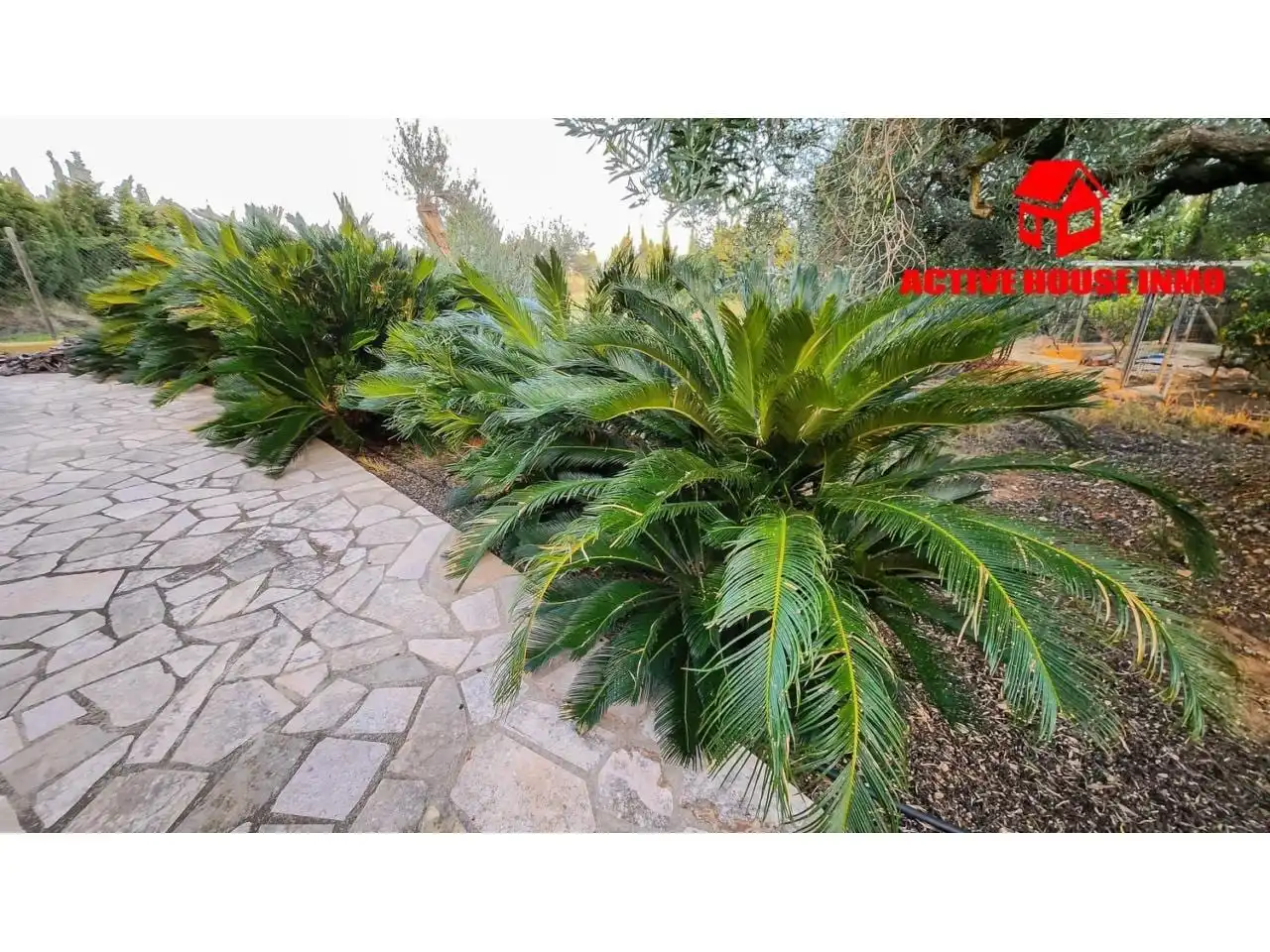 Jardín de Finca rústica en venta en Camarles con Jardín privado, Terraza y Trastero