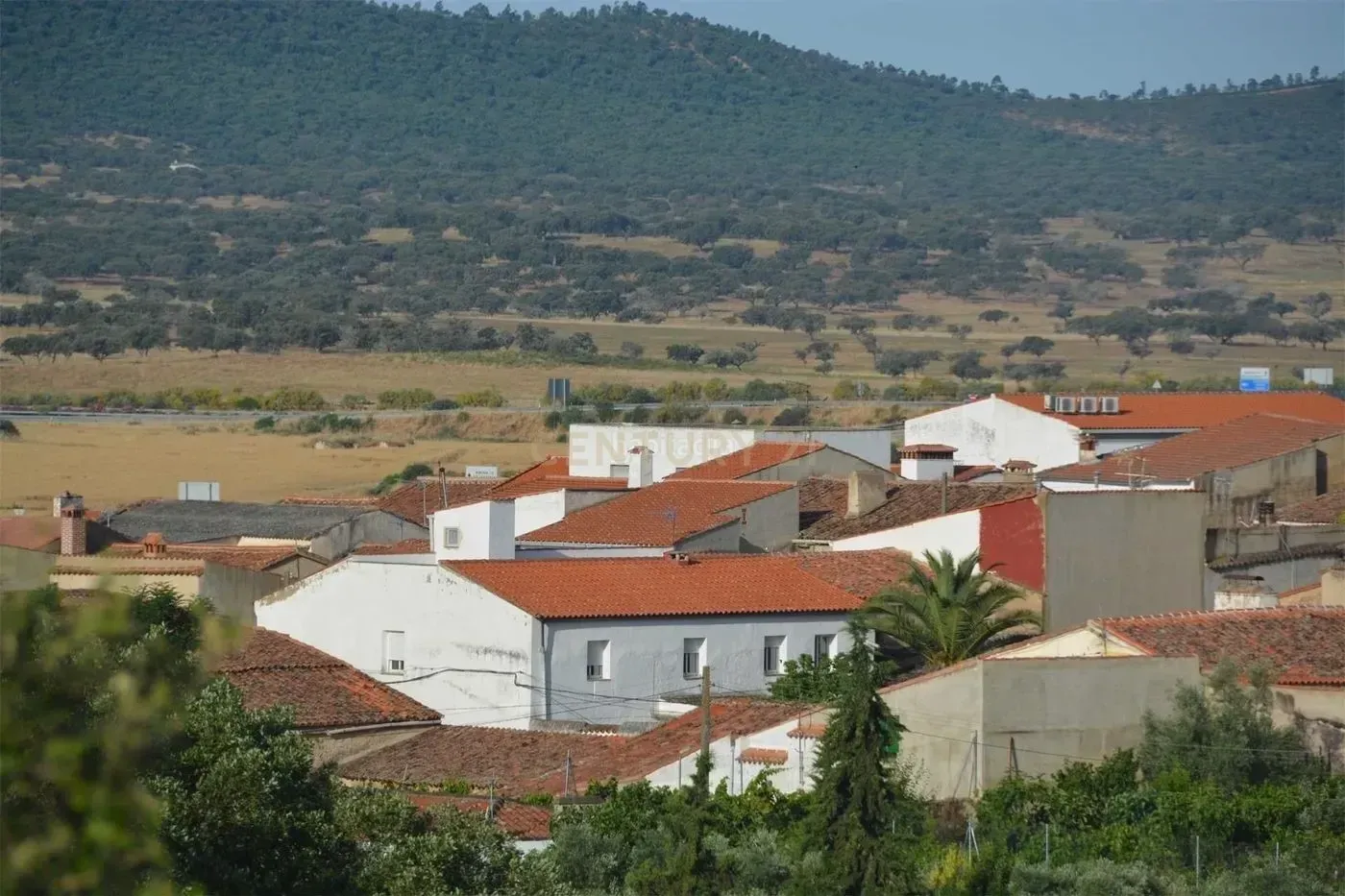Exterior view of House or chalet for sale in Casas de Don Antonio