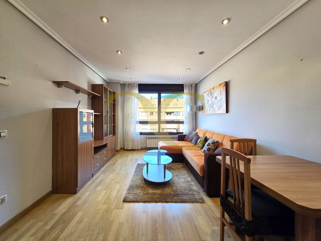 Sala d'estar de Apartament en venda en Oviedo  amb Calefacció, Traster i Moblat