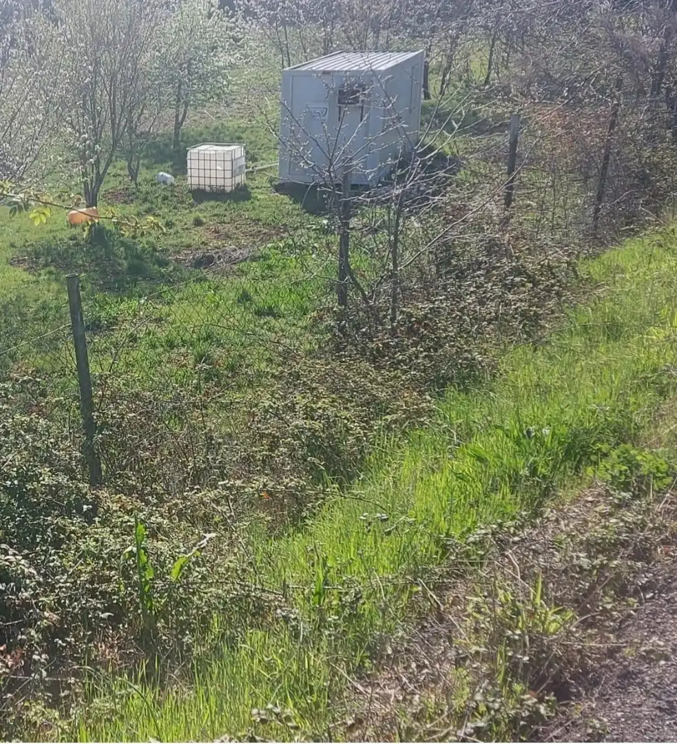 Finca rústica en venta en Molinaseca