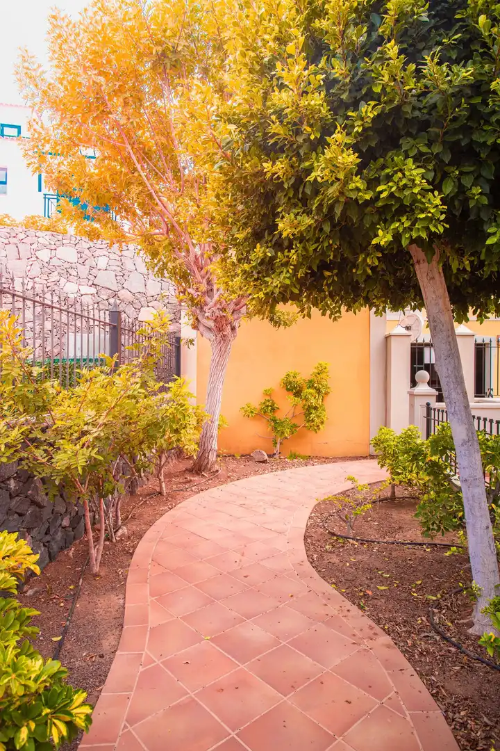 Maisonette zum Verkauf in avenida la Arenita, 12 12, imagen 8