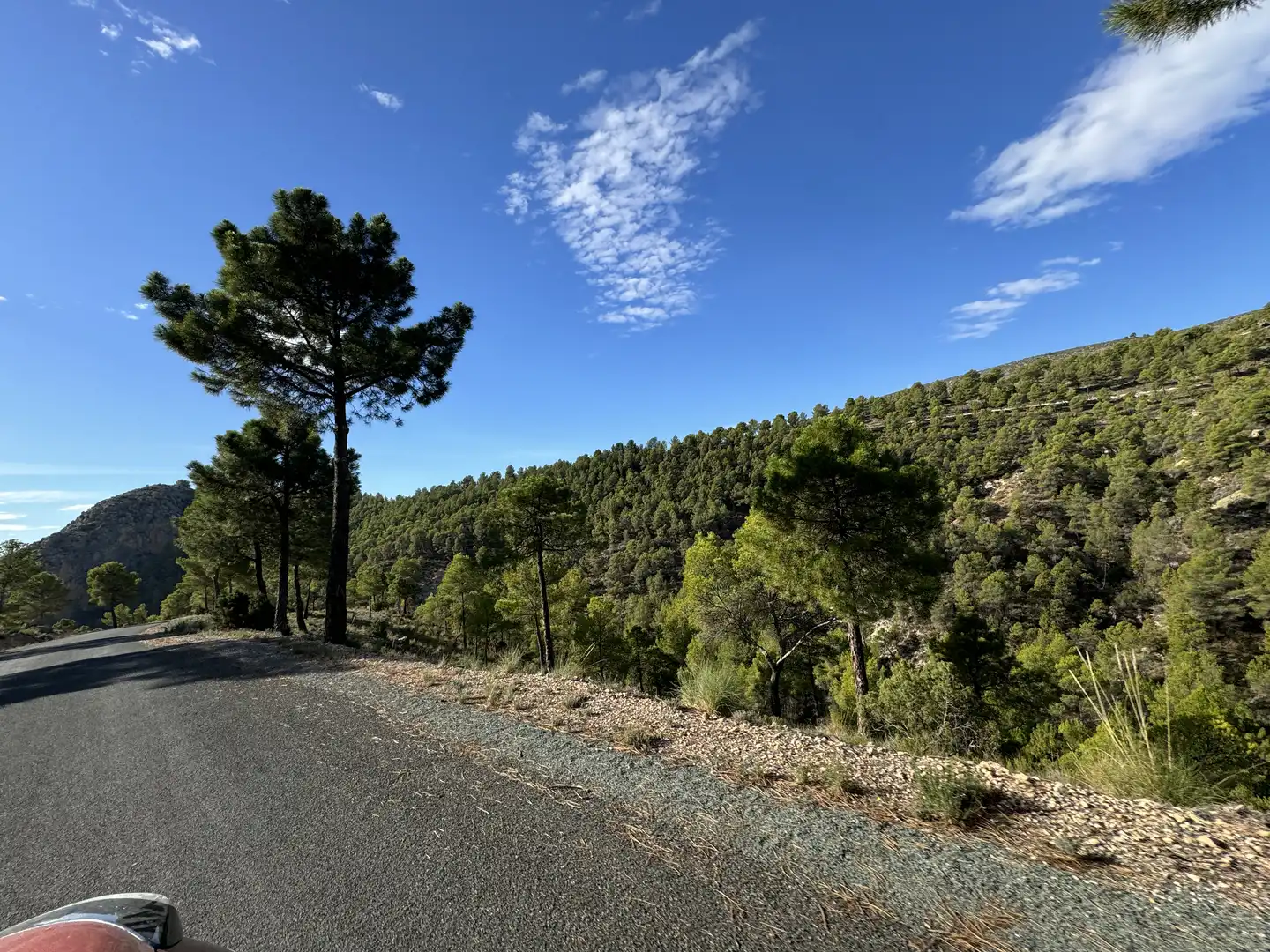 Terreny rústic en venda a Caravaca de la Cruz, imagen 2