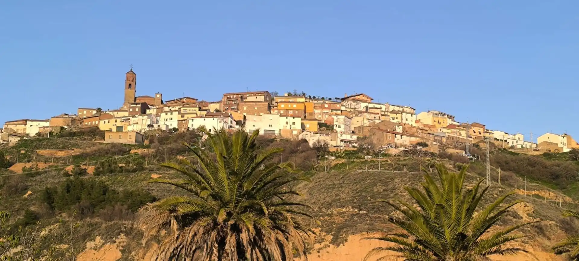 Vista exterior de Casa o chalet en venta en Ausejo con Calefacción, Terraza y Trastero