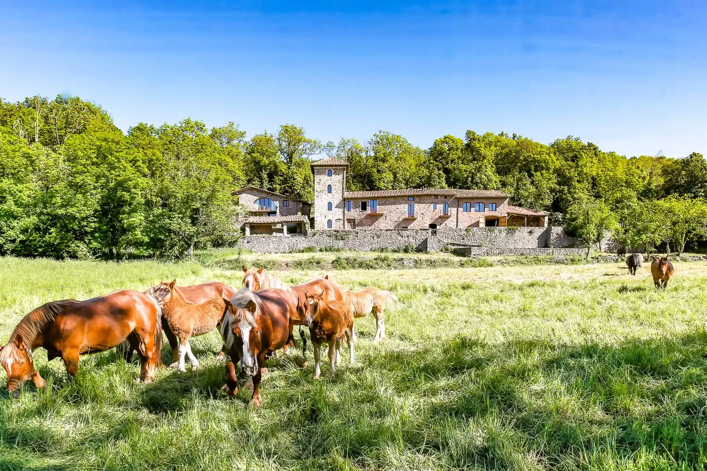 Landhaus mit Garten zum Verkauf in Camprodon, imagen 5