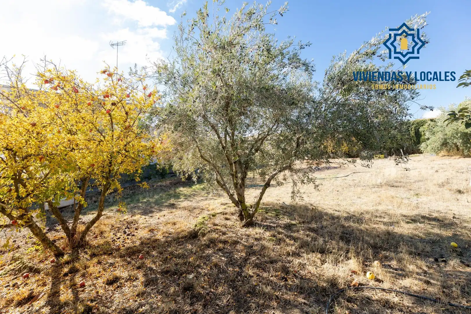 Terreno residencial en venta en San Francisco - Chorillo, imagen 7