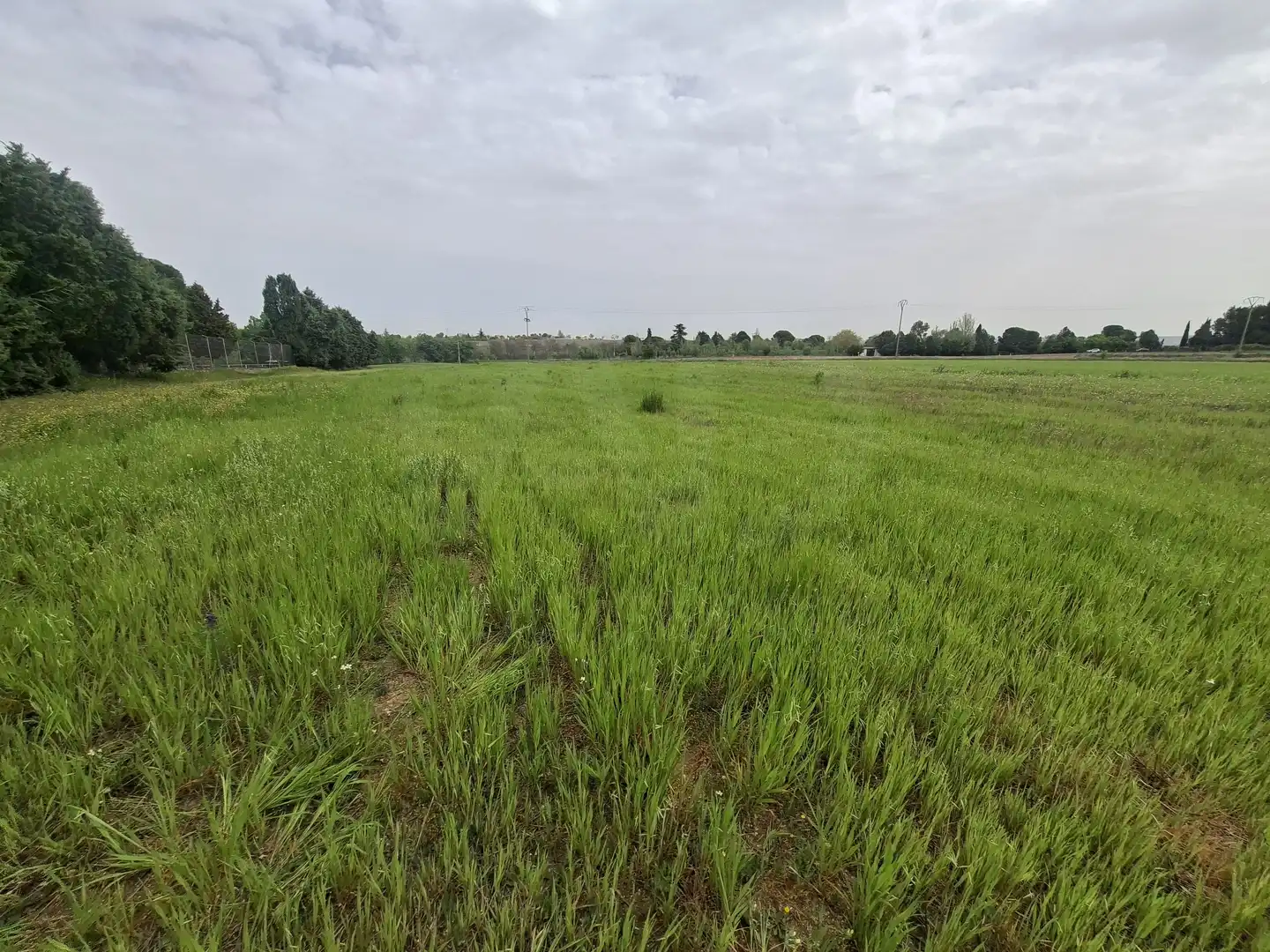Rural land for sale in Cubas de la Sagra, imagen 5