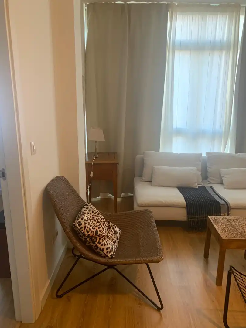 Living room of Flat for rent in Málaga  with Air Conditioner, Furnished and Washing machine