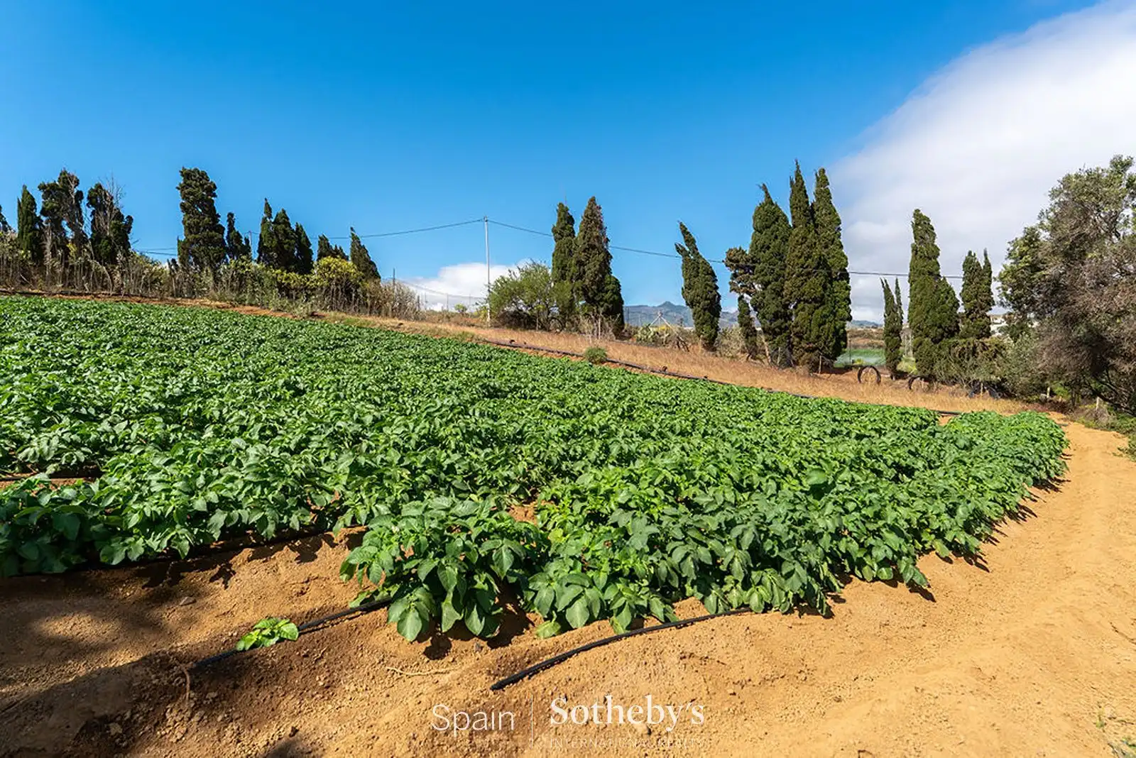 Residential land for sale in Carretera de Telde a Santa Brígida GC 80, Km. 7´5, 80, imagen 47