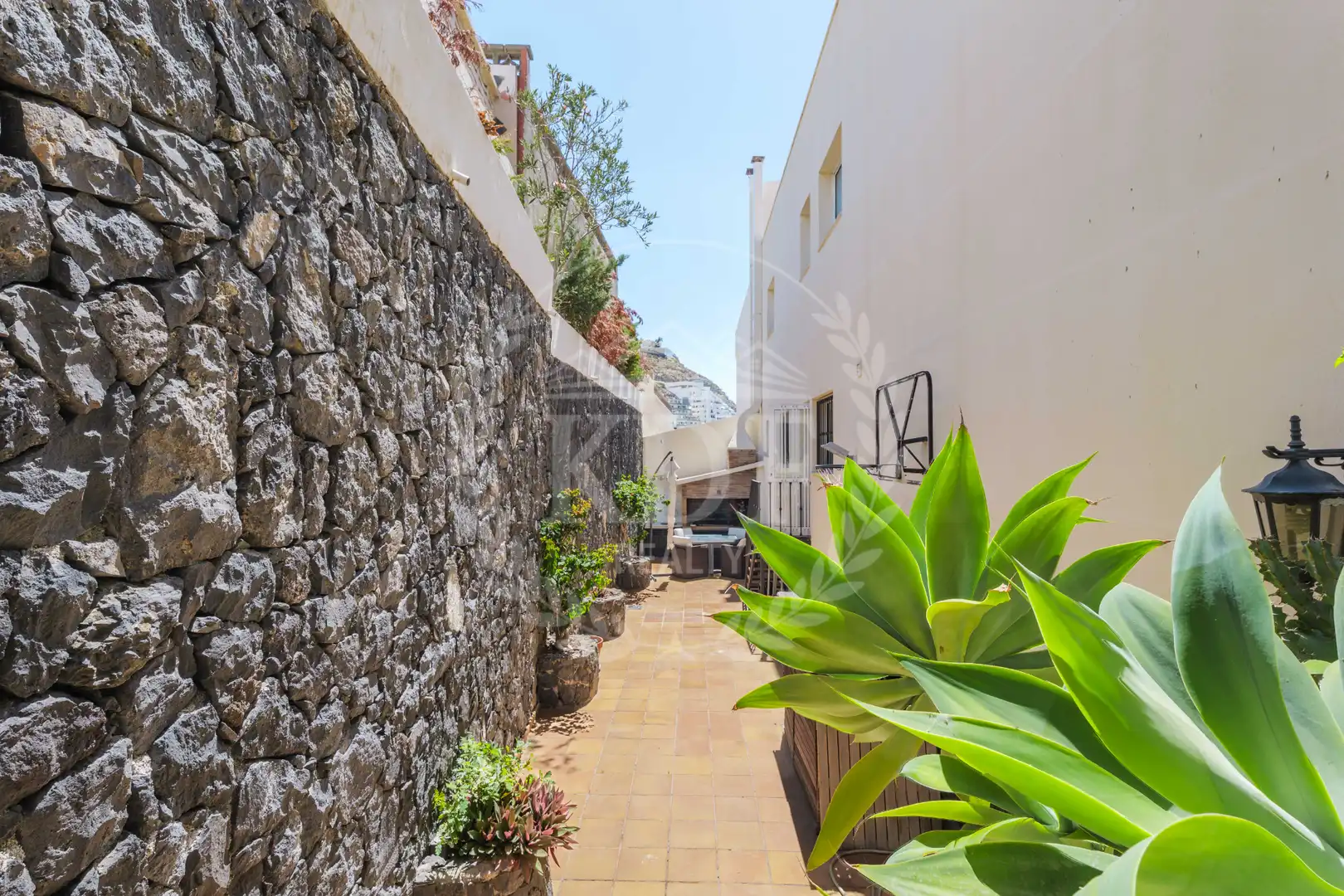 Exterior view of Houses for sale in El Rosario  with Private garden, Terrace and Swimming Pool