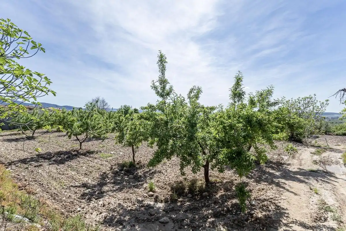 Casa o chalet en venta en Gójar con Jardín privado, Trastero y Balcón
