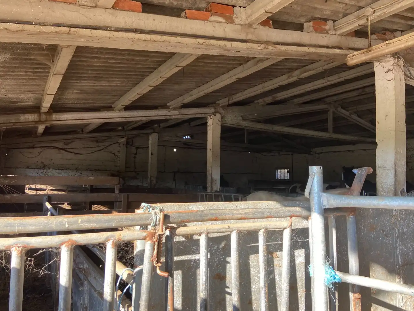 Terrenos y solares en venta en Lalín, imagen 13