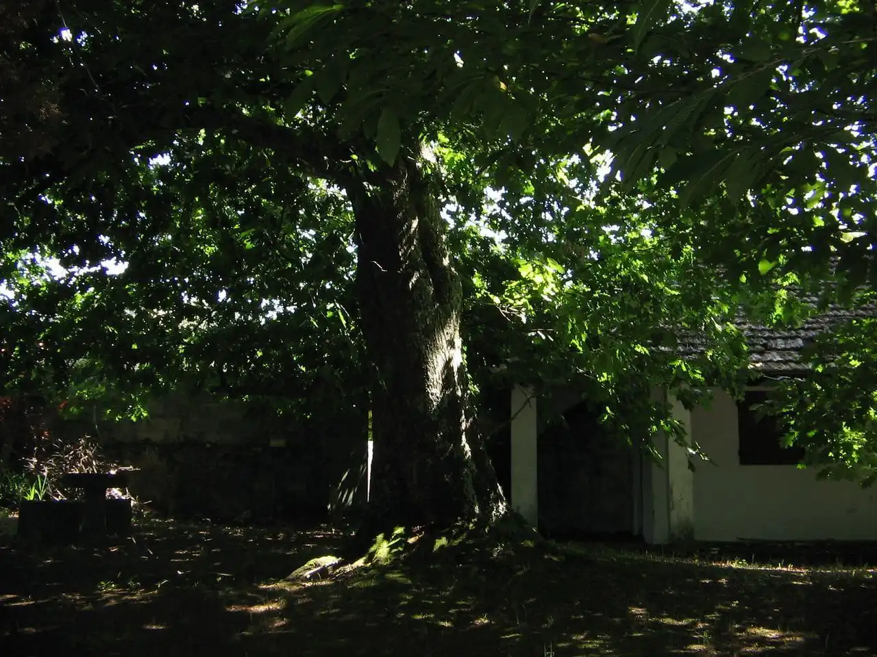 Jardí de Casa o xalet en venda en Vigo  amb Calefacció, Jardí privat i Terrassa