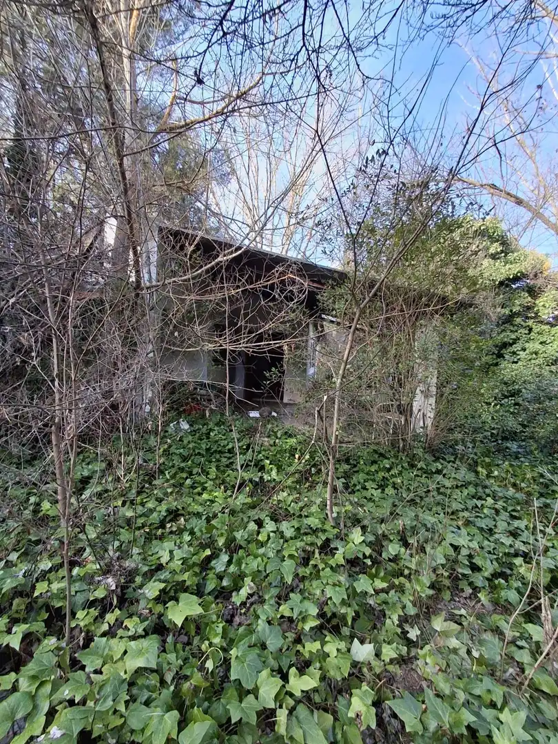 Exterior view of Houses for rent in Pezuela de las Torres