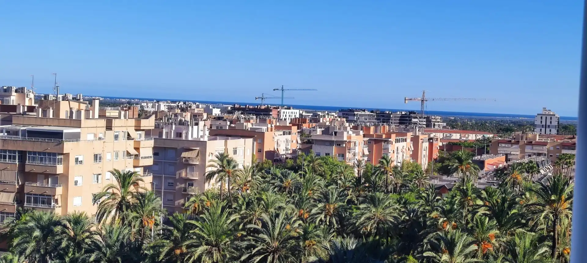 Vista exterior de Pis en venda en Elche / Elx amb Aire condicionat, Calefacció i Traster