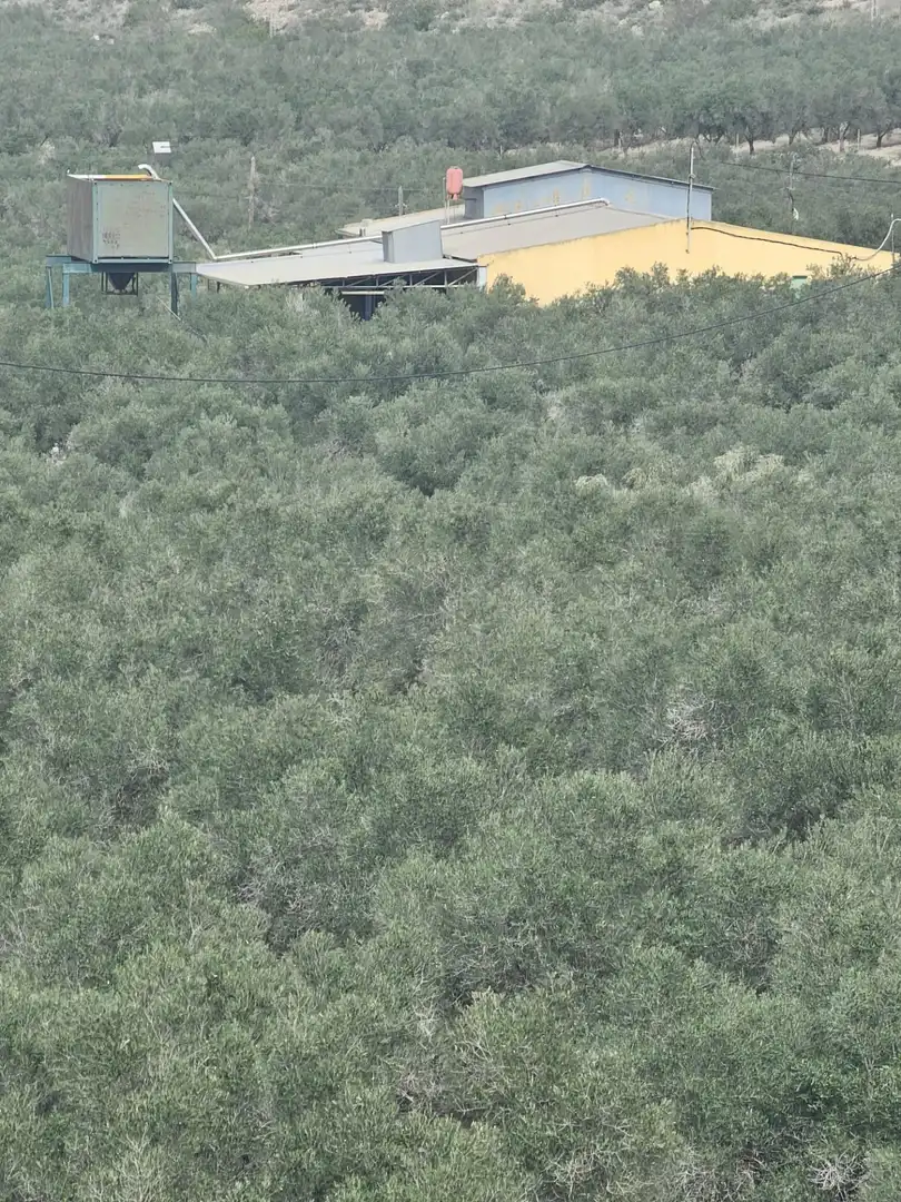 Rural land for sale in Desamparados - Hurchillo - Torremendo, imagen 3