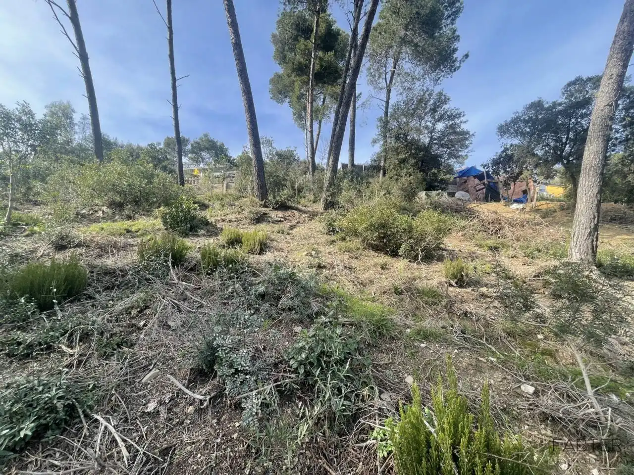 Rural land for sale in Avenida Modolell, imagen 8