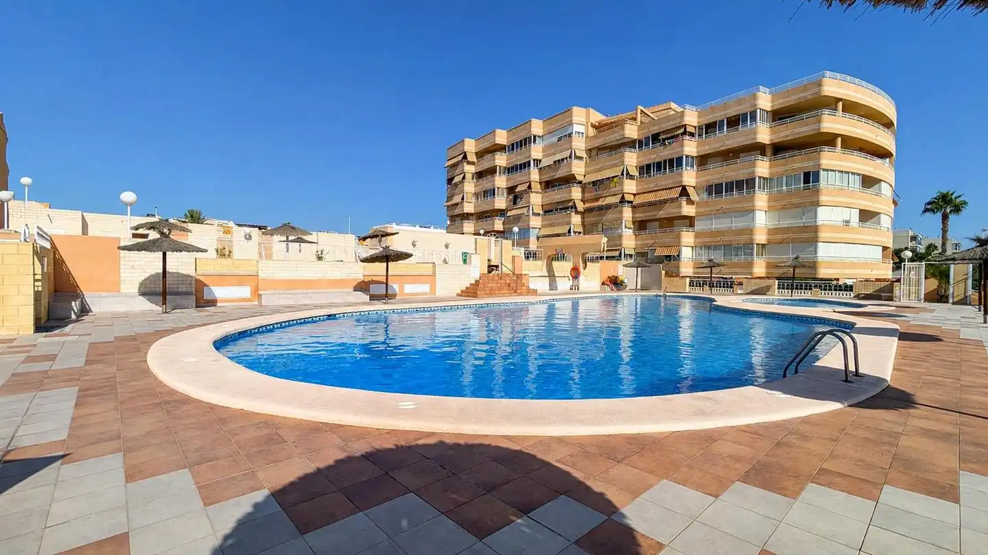 Swimming pool of Detached homes for sale in Elche / Elx  with Terrace, Storage room and Swimming Pool