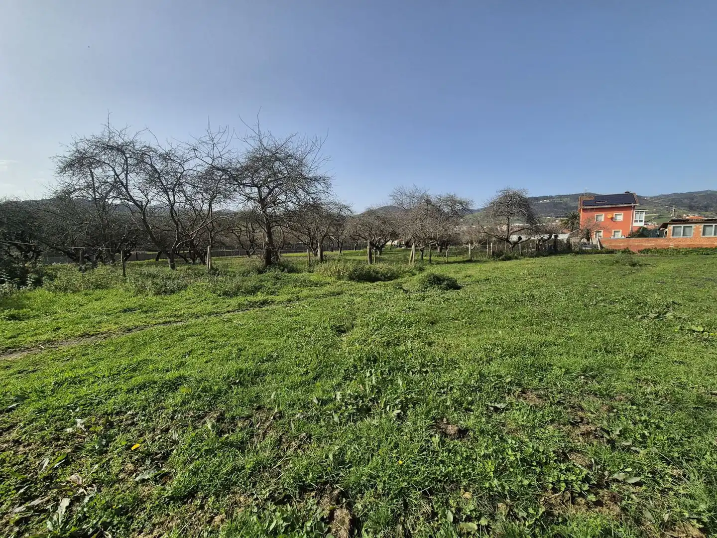 Residential land for sale in Grado, imagen 3