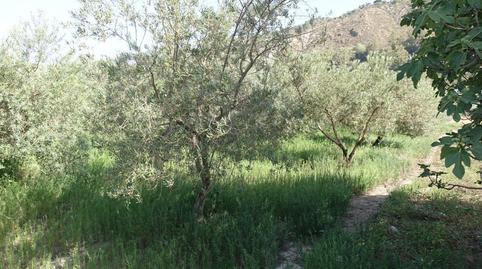Photo 3 of Country house for sale in Órgiva, Granada