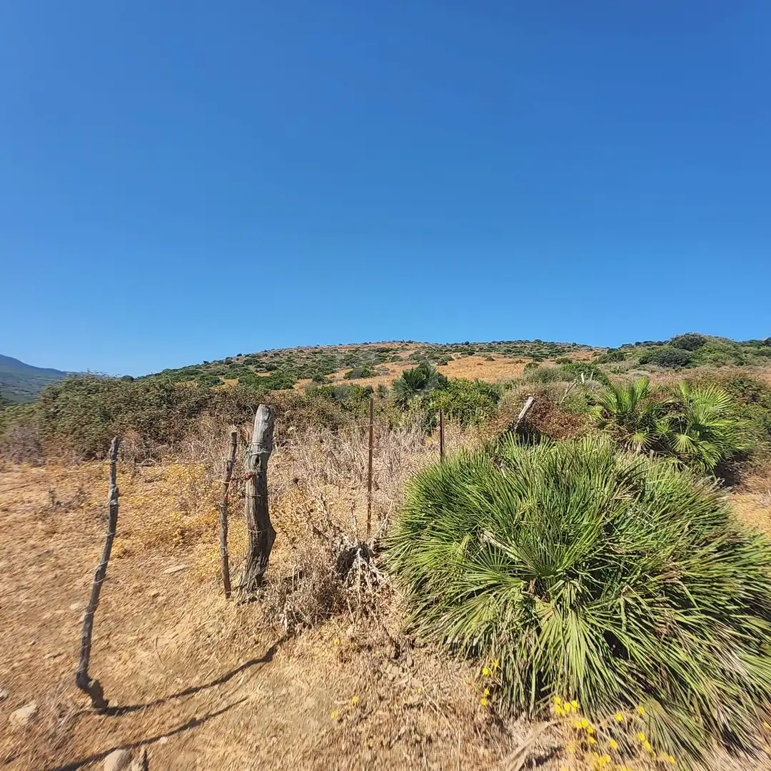 Terreno en venta en Tarifa
