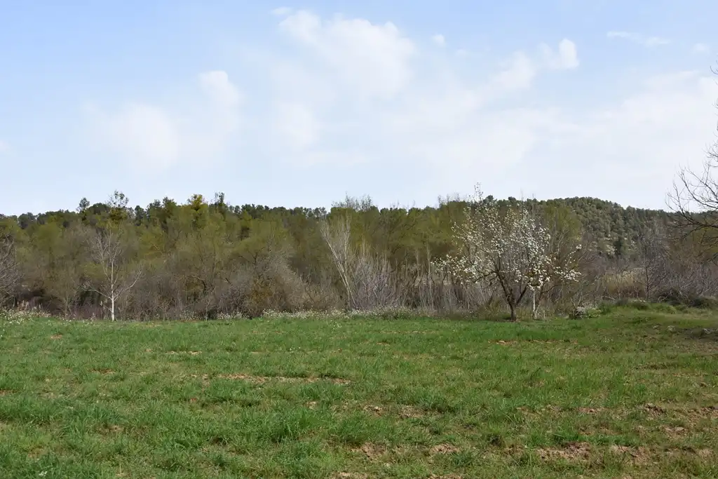 Terreni e lotti in vendita a Arens de Lledó, imagen 11
