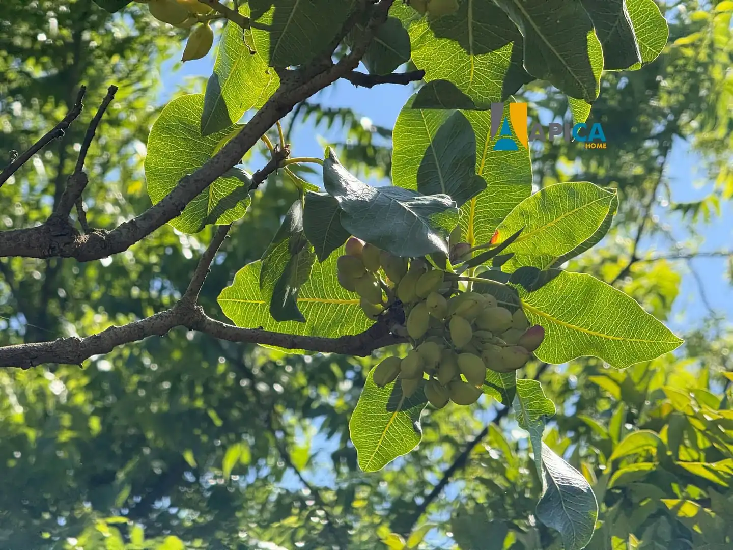 Jardí de Casa o xalet en venda en Puerto Real amb Aire condicionat, Terrassa i Traster
