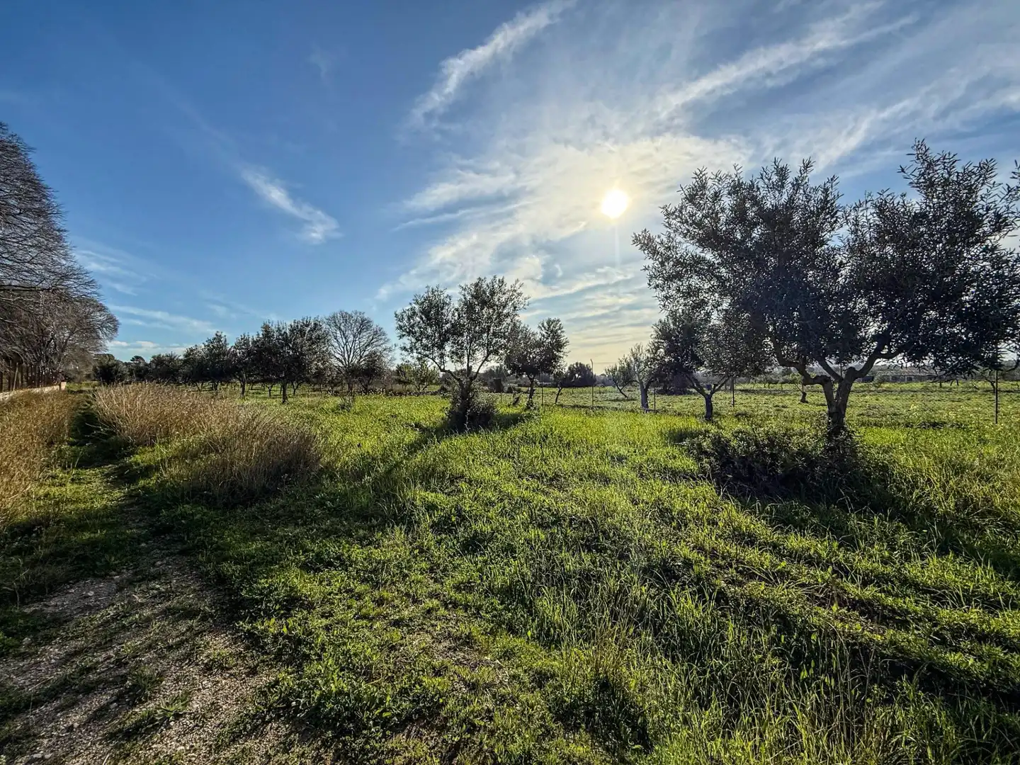Land for sale in Diseminado Poligono 17, Selva