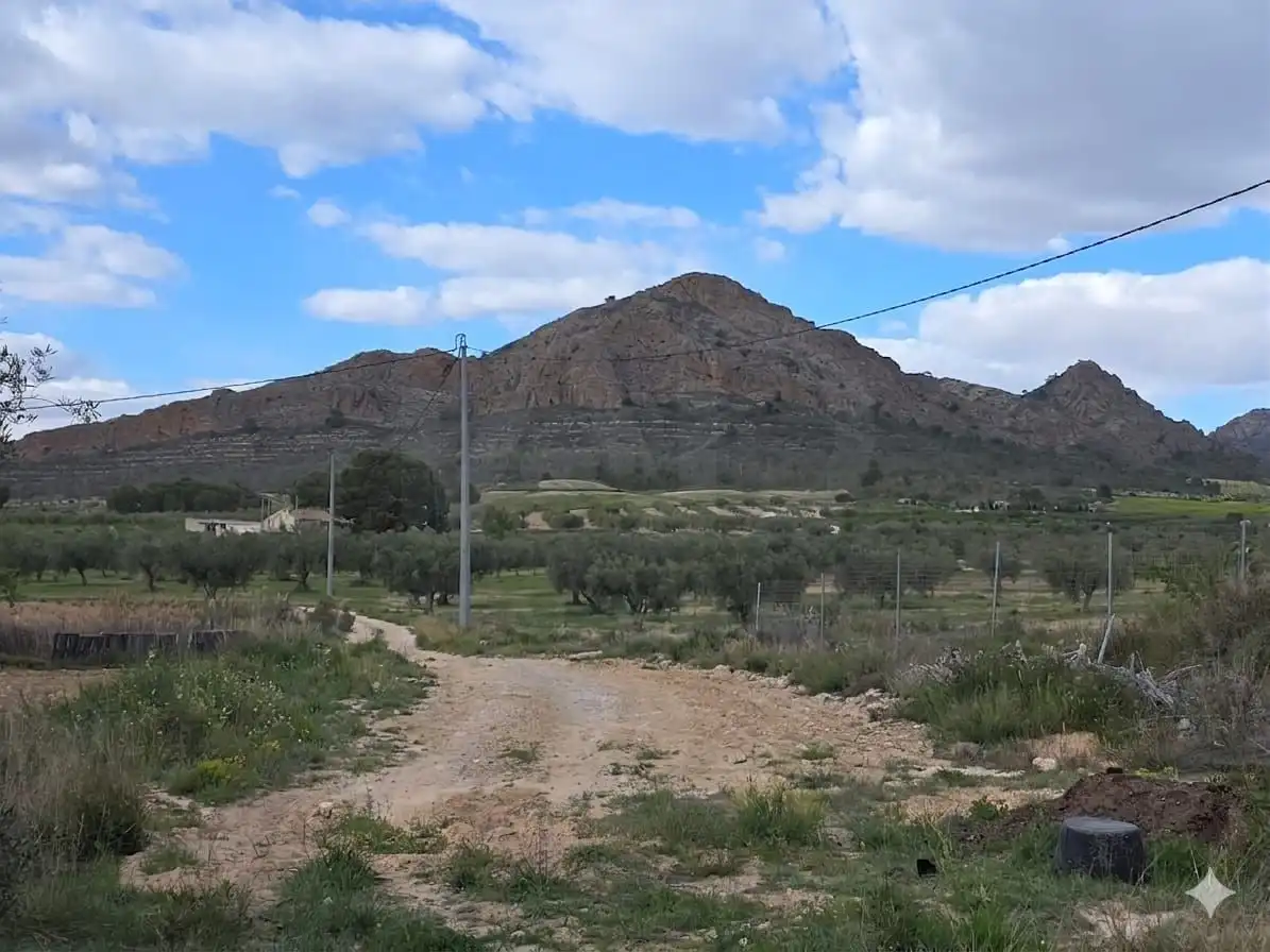 Casa amb piscina en venda a Jumilla, imagen 16