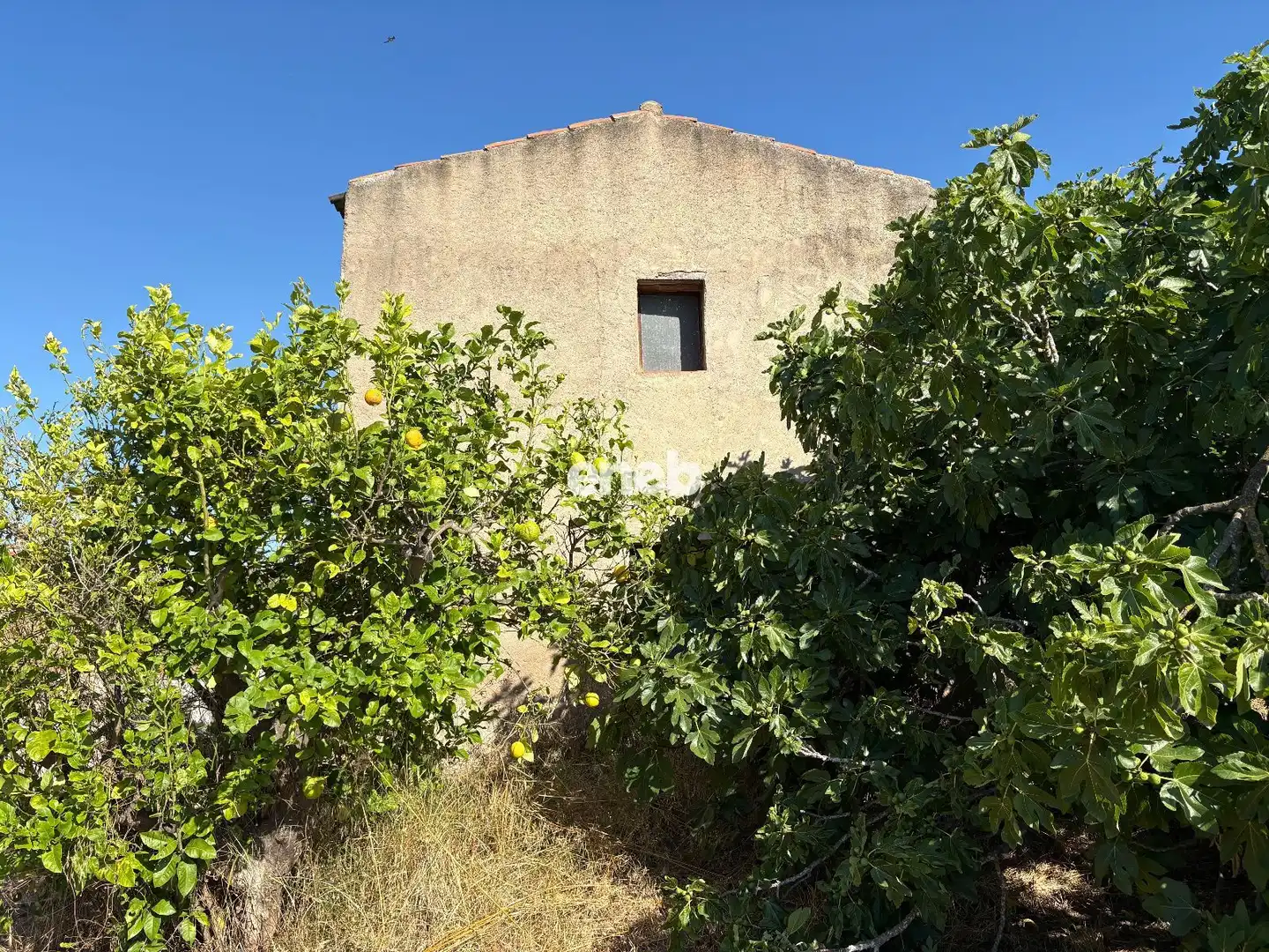 Rural land for sale in Partida Collet, imagen 3