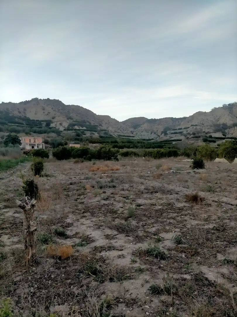 Residential land for sale in Instinción, imagen 11