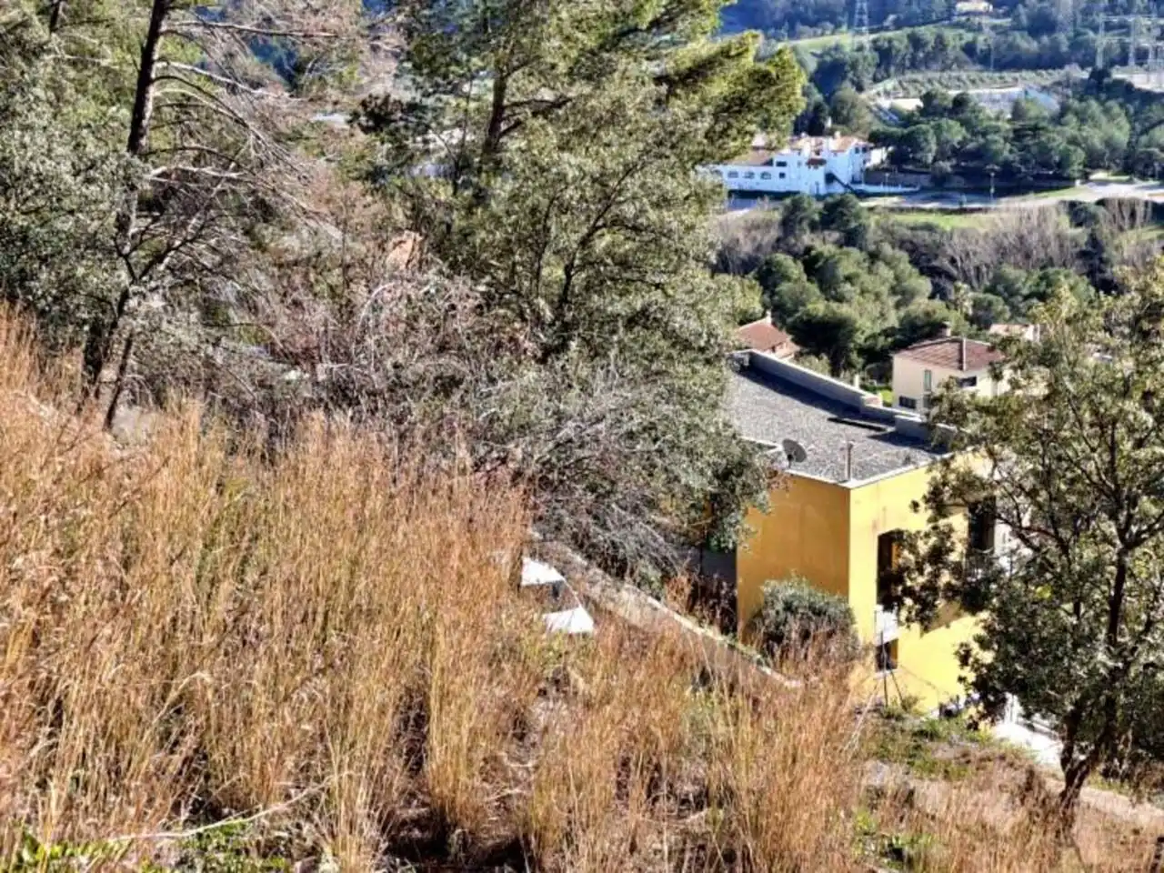 Rural land for sale in Calle Llosa, imagen 19