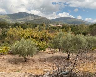 Land for sale in Talaveruela de la Vera