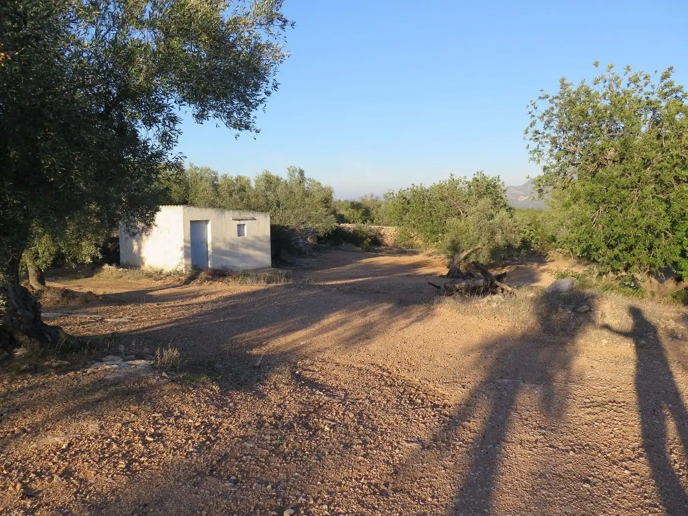 Terrain résidentiel à vendre à Xerta, imagen 7