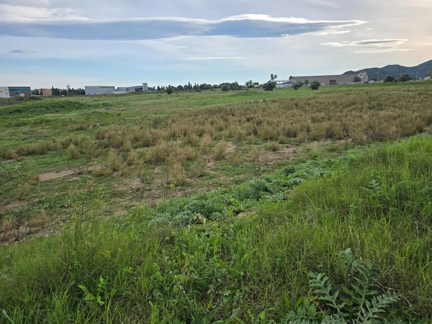 Residential for sale in Amposta
