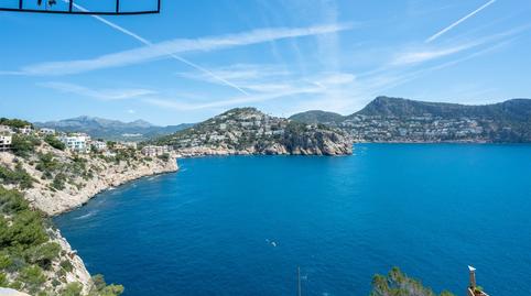 Photo 3 of Premises for sale in Port d'Andratx, Illes Balears