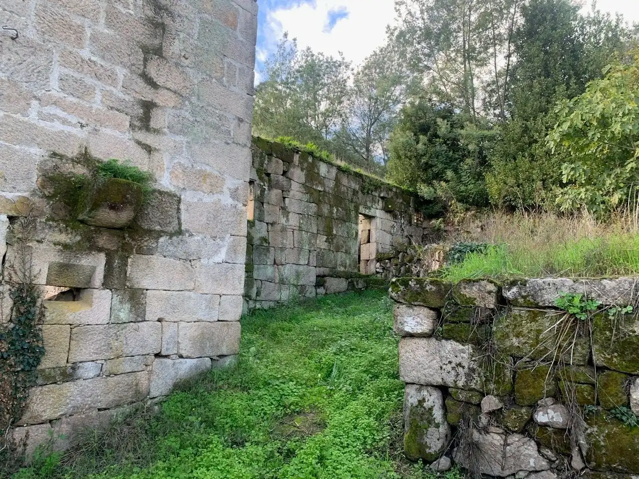 Houses for sale in San Rosendo