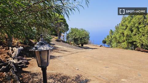 Photo 2 of Apartment to share in Puntagorda, Santa Cruz de Tenerife