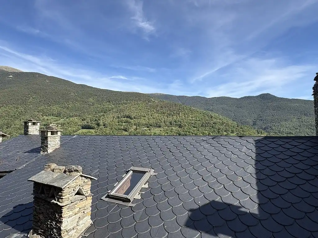 Maison mitoyenne à vendre à Queralbs, imagen 19