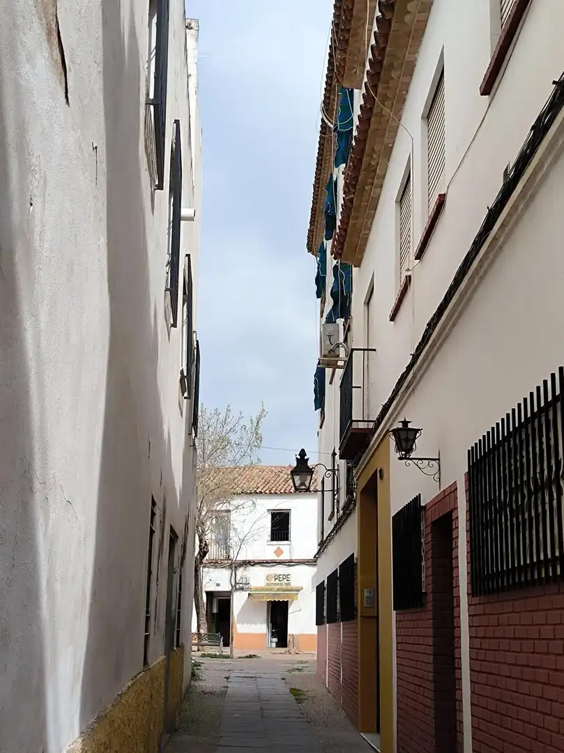 Vista exterior de Casa o chalet en venta en Córdoba con Calefacción, Terraza y Trastero