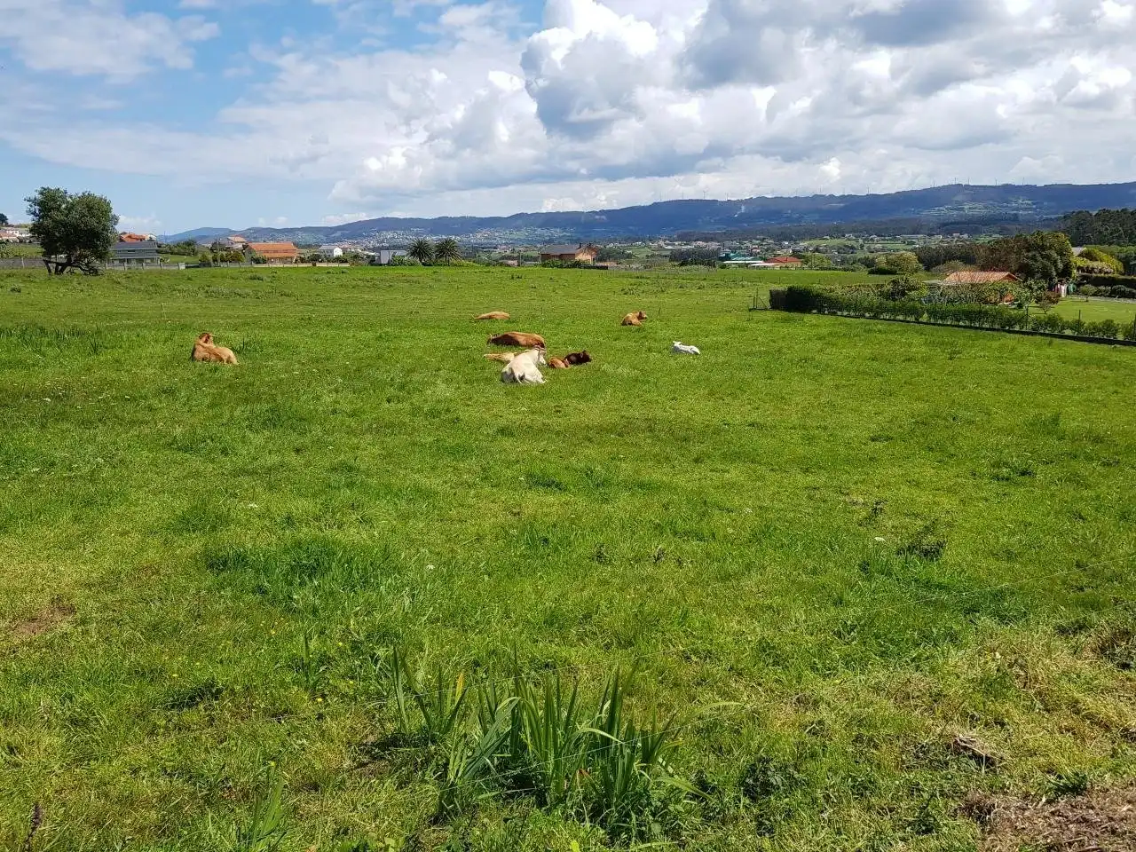 Terrenys i solars en venda a Lugar Montefaro, imagen 2