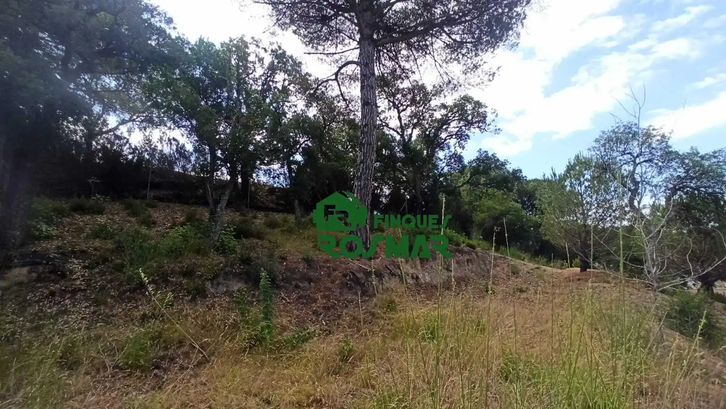 Terrenos y solares en venta en Aiguaviva Parc, imagen 16