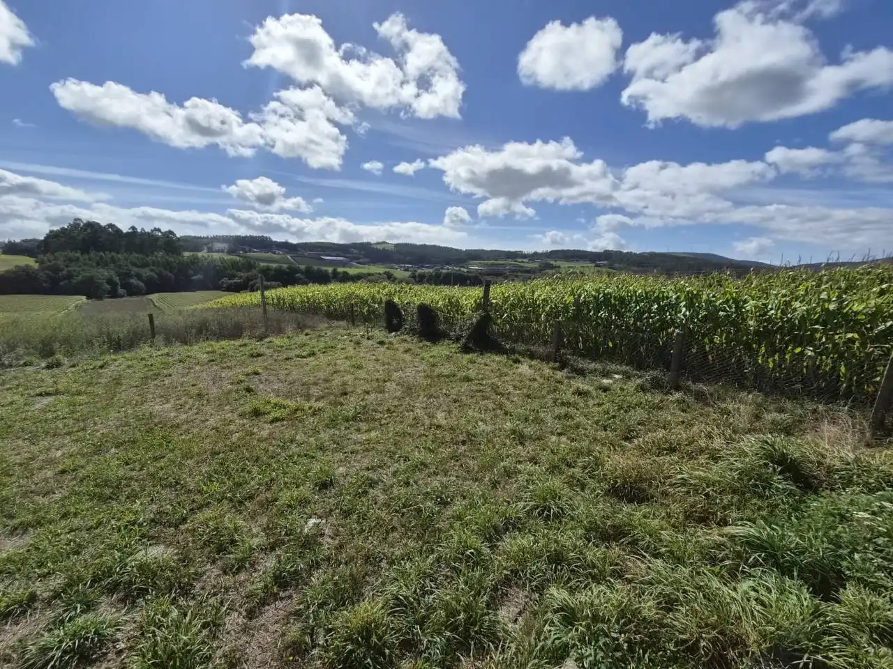 Country homes for sale in Rois  with Private garden, Furnished and Alarm