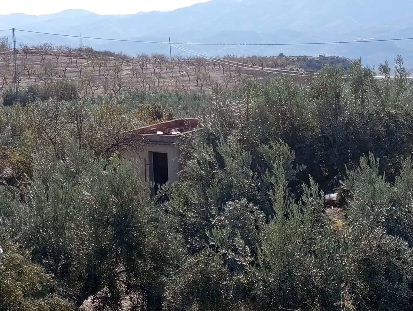 Casa o chalet en venta en Purchena con Amueblado