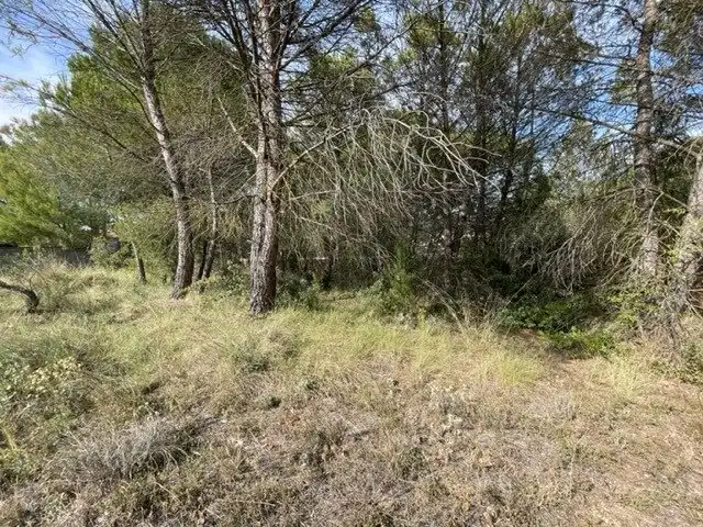 Lands and plots for sale in La Pobla de Claramunt, imagen 3