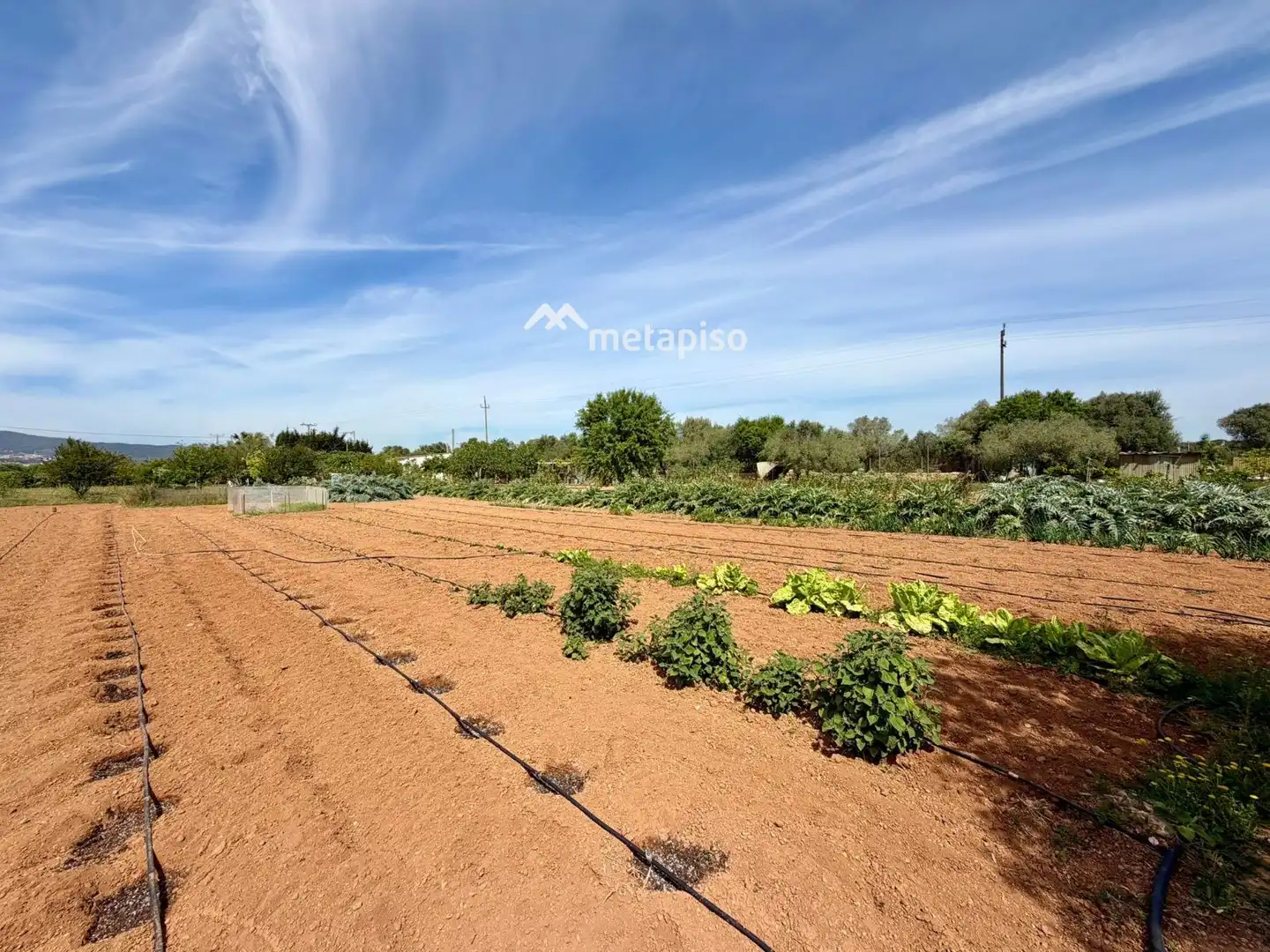 Terreno rustico in vendita a Santa Oliva, imagen 56