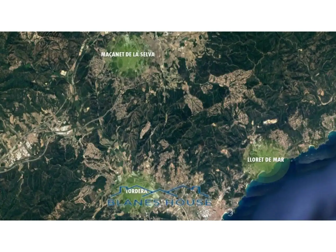 Terreno rustico in vendita a Calle LA FONT (DE LA) 6, imagen 2